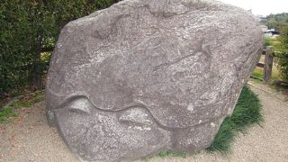 心休まる笑顔の亀さん