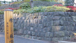 ミッドタウンを見上げます