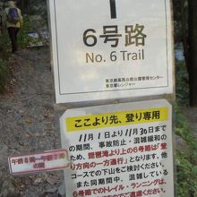 ６号路を登りました。