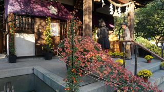 菊わらべまつりをやっていました