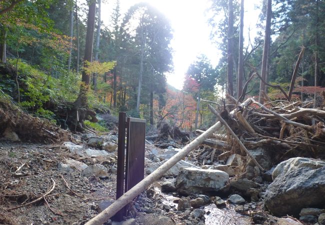 今年8月の集中豪雨で被害を受ける古刹の寺