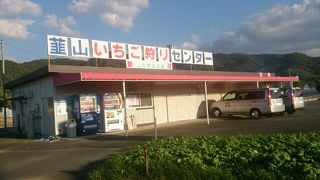 シーズンは沢山の人