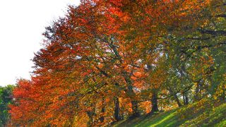 開けた景色が素晴らしい場所