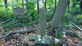 城主のお墓だとすると、小さくて哀れです