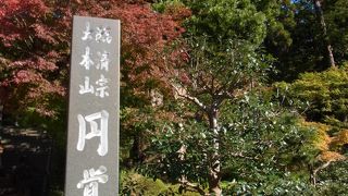 鎌倉に行ったら円覚寺に行かないと