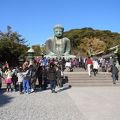 鎌倉に行ったら鎌倉大仏に行かないと 
