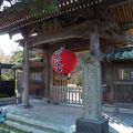 鎌倉に行ったら長谷寺に行かないと 