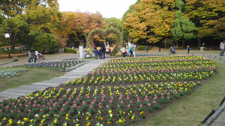 花のベルに癒されます