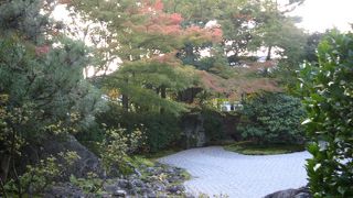 なんといっても庭が素晴らしい