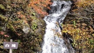 紅葉の時期は最高のドライブ