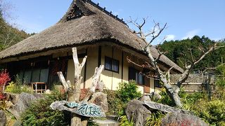 ぜひ、とろろ蕎麦を