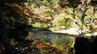 湯神社へのトレッキングも楽しめる