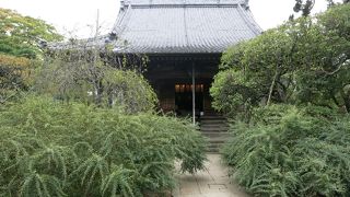 緑の覆われてました