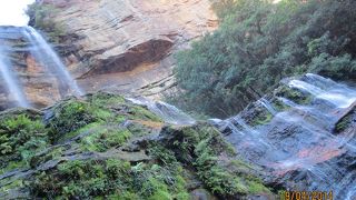 ブルーマウンテンを歩くなら！