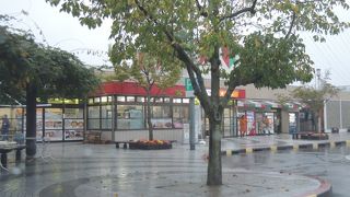 愛知牧場が目の前