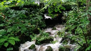 緑と渓流の美しさ