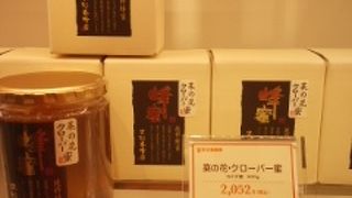 いろいろ試食できます