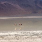 普通の湖