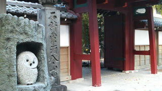 フクロウのいる池袋の寺院