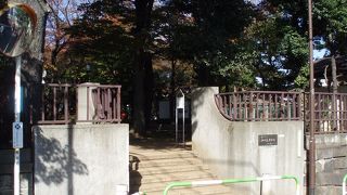 園内は木々のトンネル、癒しの通り道で～す。