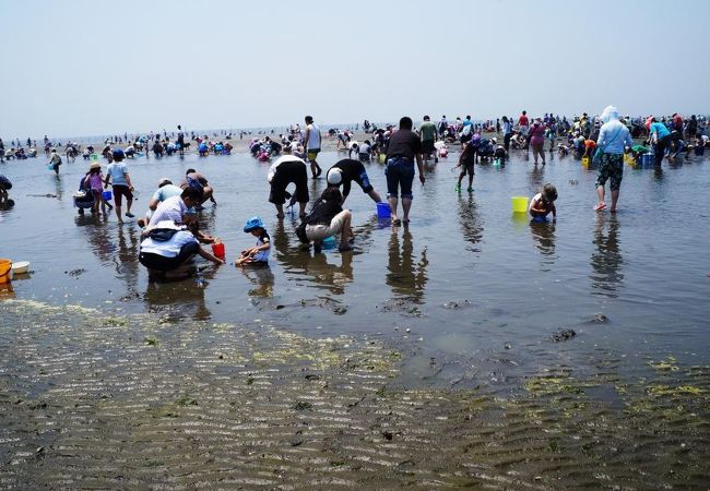 ふなばし三番瀬海浜公園 ふなばし三番瀬環境学習館 クチコミ アクセス 営業時間 船橋 習志野 フォートラベル