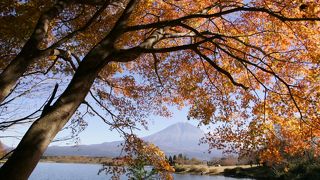 田貫湖の紅葉