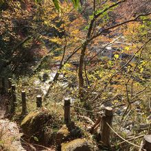 早川沿いは足場が悪いです。