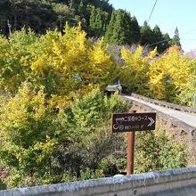 フットパスコースの小筵橋