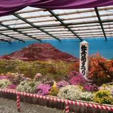 富士山をイメージした菊のアレンジメント