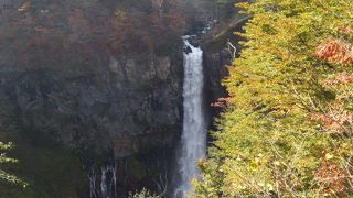 素晴らしい紅葉