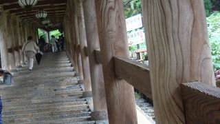 ぼたんで有名ですが、それ以外でも良さを感じられます