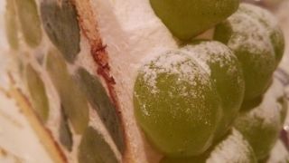 瀬戸ジャイアンツ