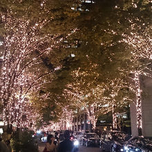 通りのイルミネーション。