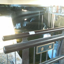 高架下を流れるので殺風景な感じに…。