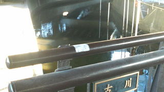 赤羽橋付近では高架下を流れるので殺風景な感じです