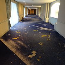 この廊下はエレベーターに接続。