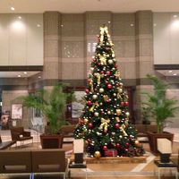 ロビーにはﾂﾘｰが飾られています。