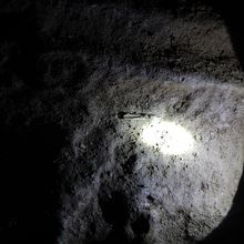 古生代の化石があります