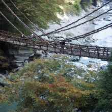 かずら橋全景