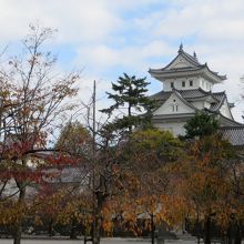 公園の広場から見た紅葉越しの大垣城