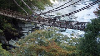 かずら橋と大歩危