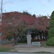 広島平和公園の紅葉