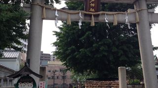 若い人に人気のようです。