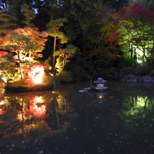 宝登山神社入り口にあるライトアップスポット