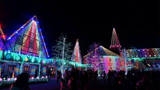 イルミネーションに興奮