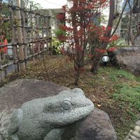 入り口前でカエルの置物がお出迎えしてくれます