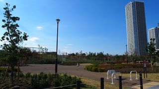 多摩川を見晴らせる気持ちのいい公園