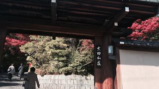 大文字も眺めれる素敵なカフェ