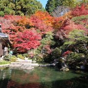 美しい紅葉の百済寺