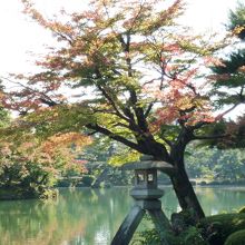 少し紅葉していました